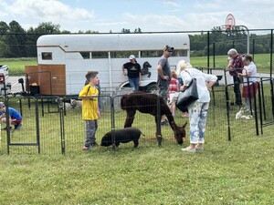 Image - /userfiles/image/cs/1502445521_1764701484.jpg