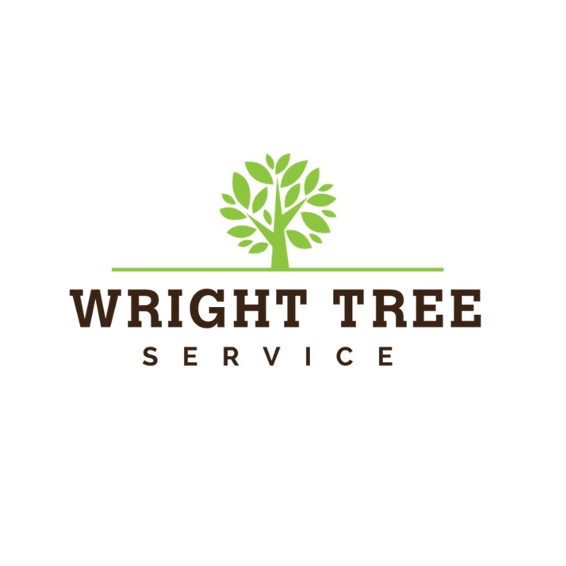 Wright Tree Service