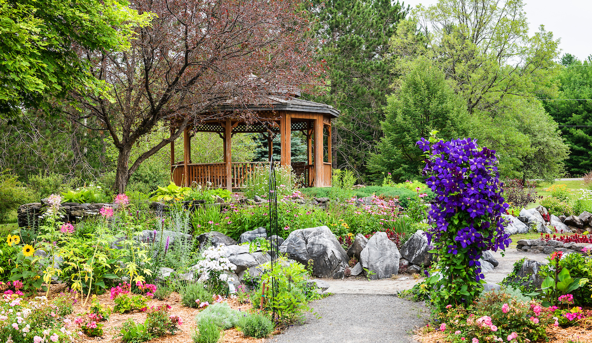 banner image - 1-gazebo-1663027896